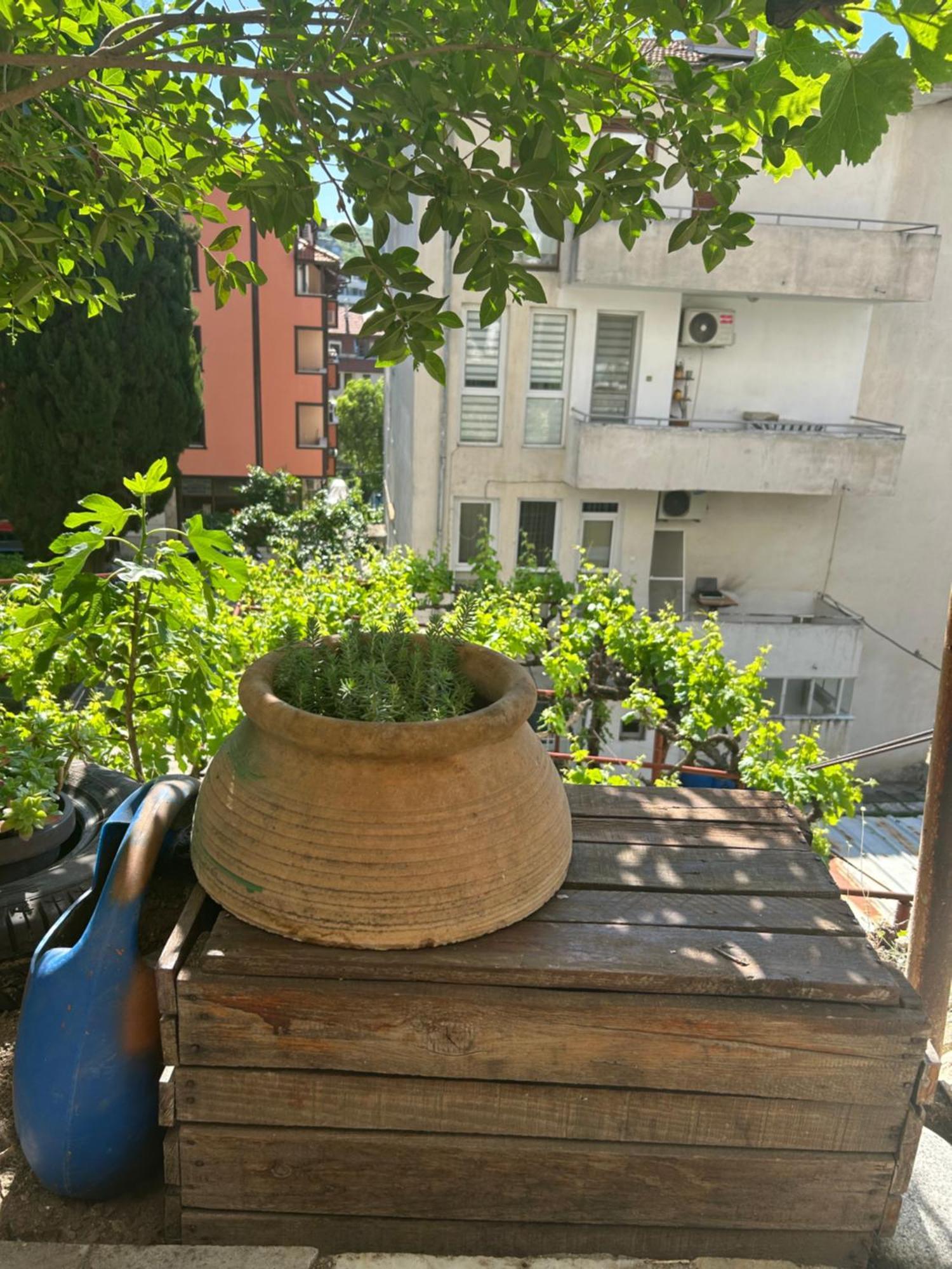 Didi House Διαμέρισμα Σαντάνσκι Εξωτερικό φωτογραφία