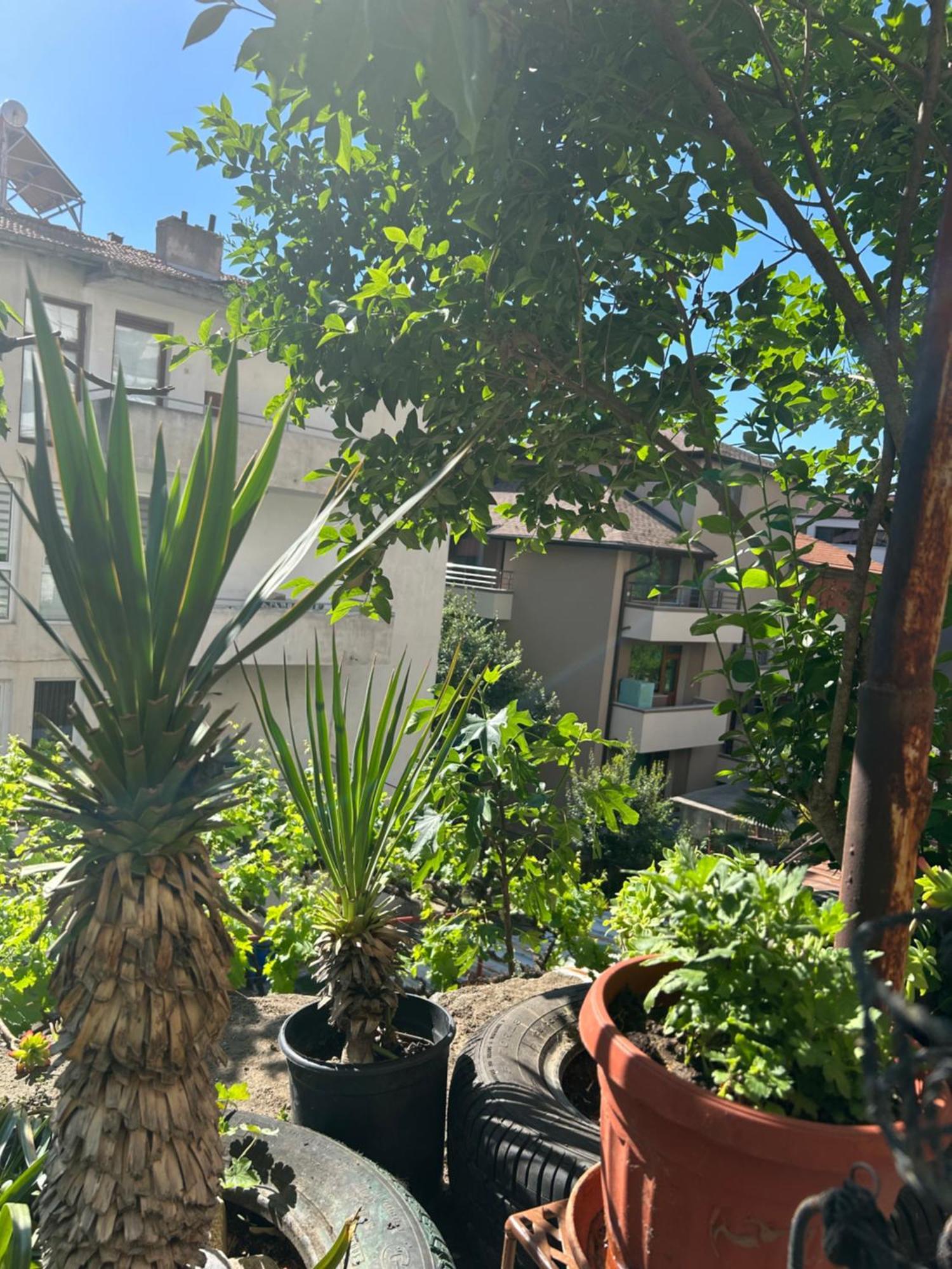 Didi House Διαμέρισμα Σαντάνσκι Εξωτερικό φωτογραφία