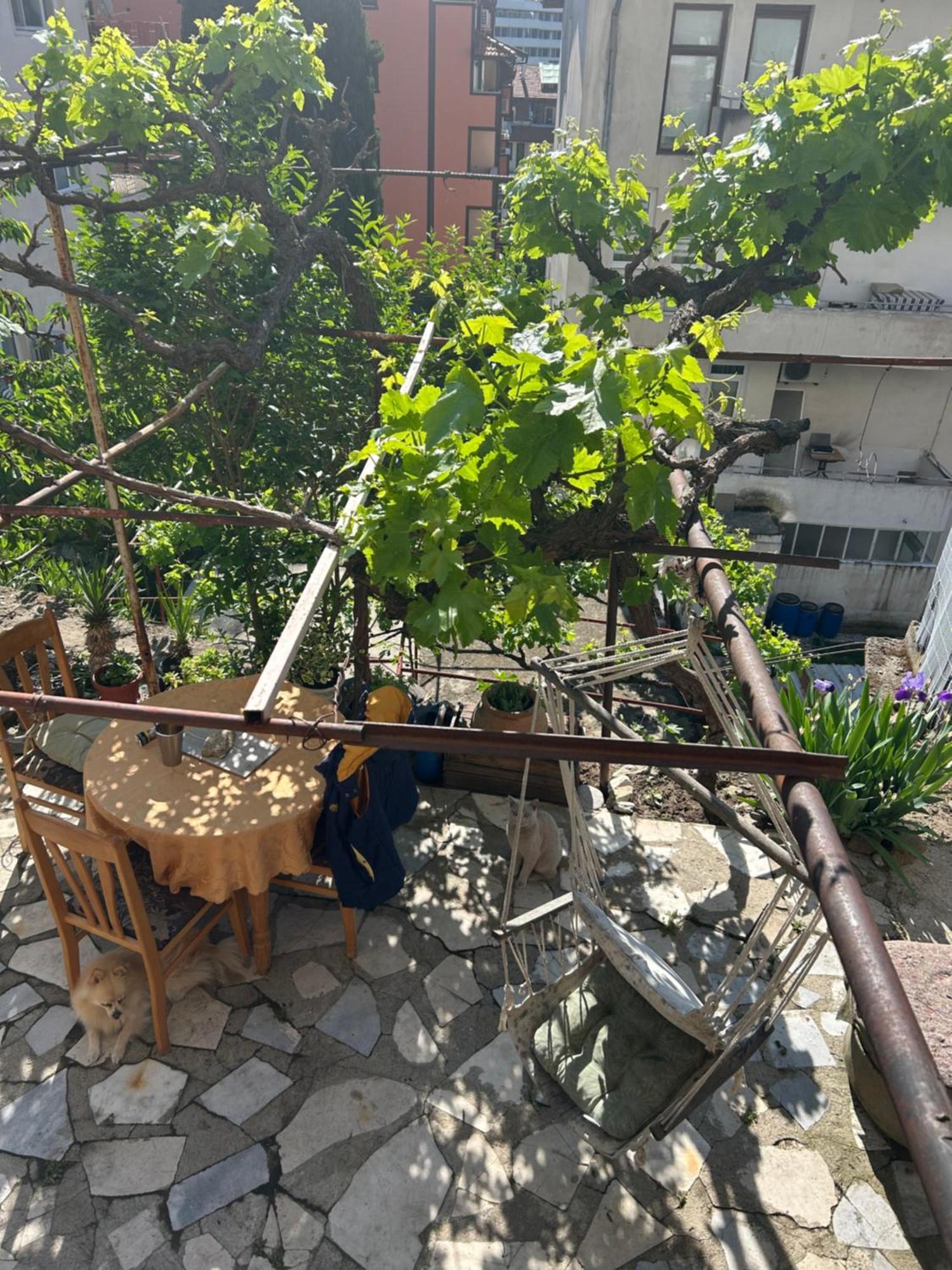 Didi House Διαμέρισμα Σαντάνσκι Εξωτερικό φωτογραφία